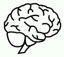 BRAIN & MEMORY